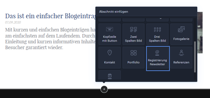 Newsletter-Registrierung Formular als Abschnitt einfügen