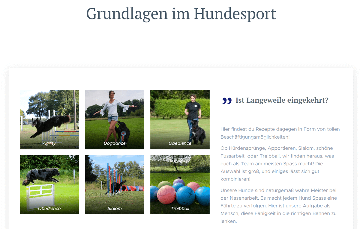 Hundetraining, Homepage einer Hundeschule mit Webnode erstellt