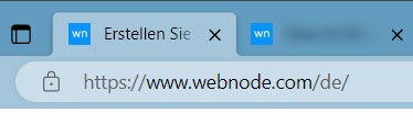 Icon einer sicheren Website.